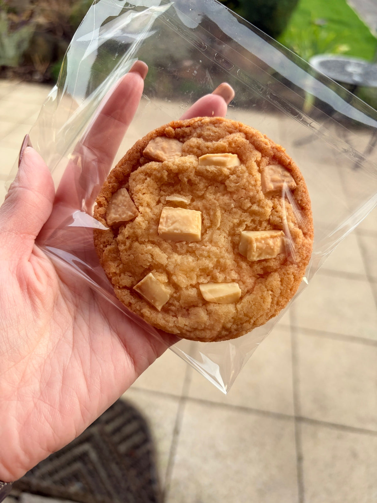 Large Gluten Free White Chocolate Chunk Cookie
